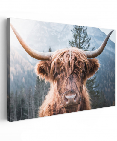 Canvas schilderij - Schotse hooglander - Bergen - Portret