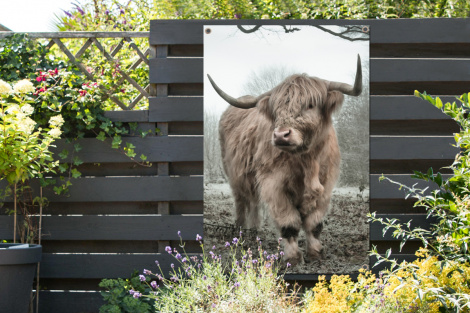 Tuinposter - Schotse hooglander - Natuur - Herfst - Dieren - Wild - Bos - Staand-thumbnail-2