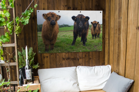 Tuinposter - Schotse hooglander - Koeien - Natuur - Groen - Gras - Liggend-thumbnail-3