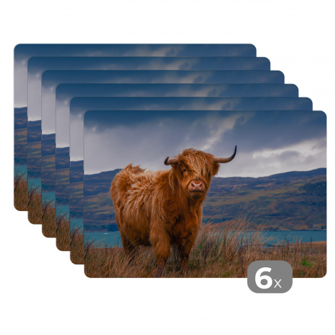 Premium placemats (6 stuks) - Schotse hooglander - Lucht - Natuur - 45x30 cm-1