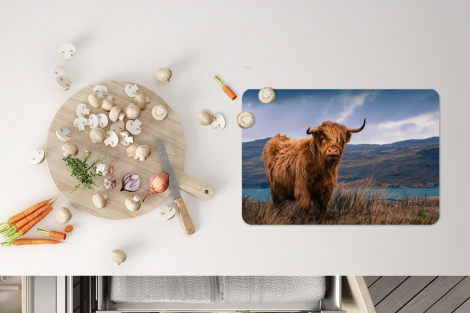 Premium placemats (6 stuks) - Schotse hooglander - Lucht - Natuur - 45x30 cm-thumbnail-4