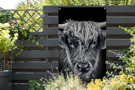 Tuinposter - Schotse hooglander - Zwart - Koe - Dieren - Staand-thumbnail-2
