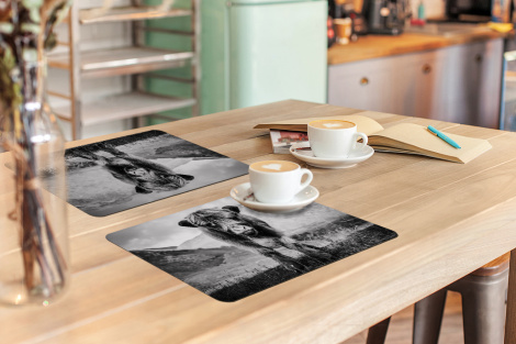 Premium placemats (6 stuks) - Schotse Hooglander - Berg - Zwart - Wit - 45x30 cm-3