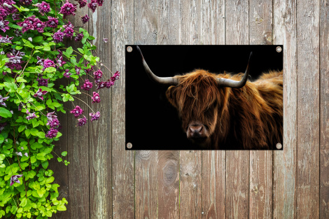 Tuinposter - Schotse Hooglander - Horens - Zwart - Dieren - Natuur - Wild - Koe - Liggend-thumbnail-4