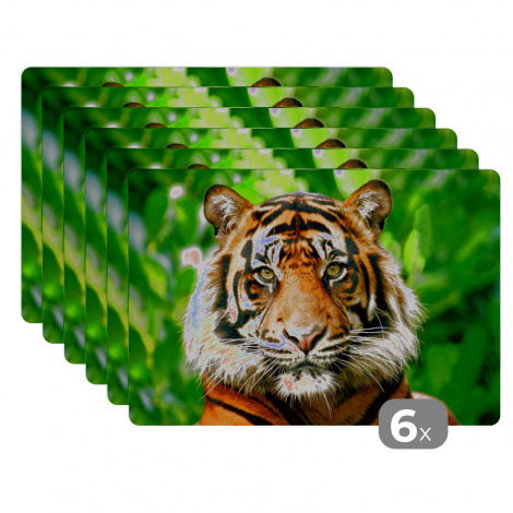Tischset (6er Set) - Tiger - Kopf - Wald - 45x30 cm-1