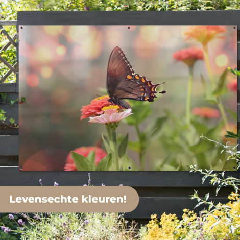 Tuinposter - Vlinder op zomerbloem-7