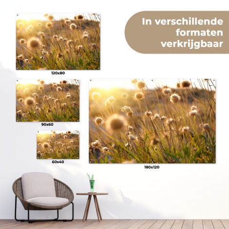 Tuinposter - Verlichte zaadhoofden in de avondzon-5