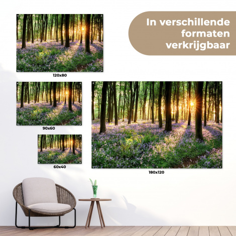 Tuinposter - Bos met blauwe hyacinten bij zonsopgang-5