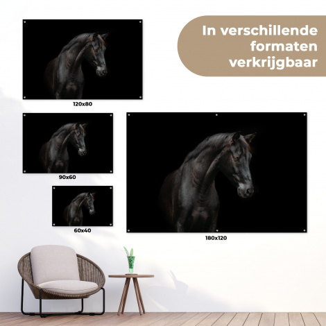 Tuinposter - Elegant zwart paard in het donker-5