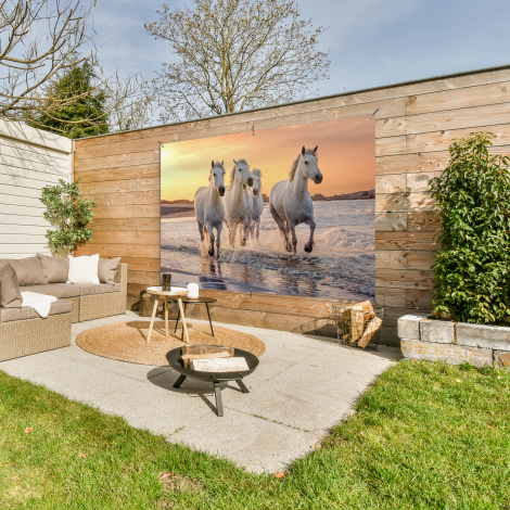 Tuinposter - Witte paarden galopperen langs de kust-3