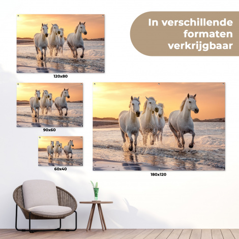 Tuinposter - Witte paarden galopperen langs de kust-5