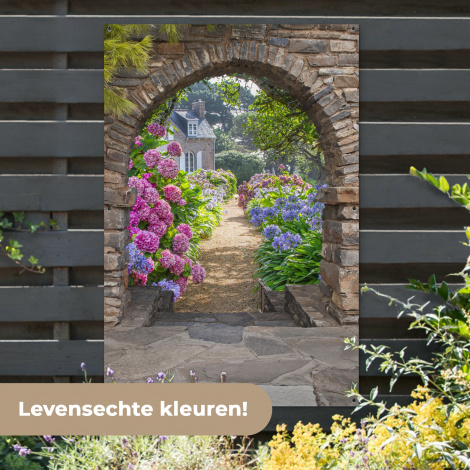 Tuinposter - Verstopte tuin-7