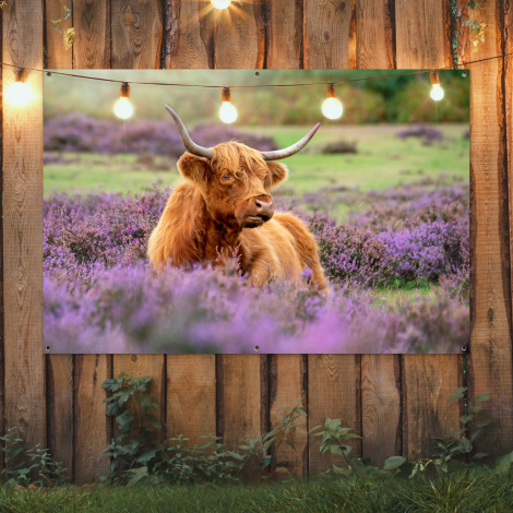 Tuinposter - Hooglander in de Heide-2