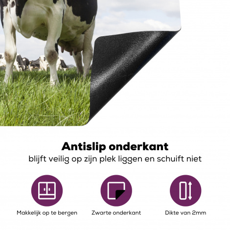 Inductiebeschermer - Koeien - Dieren - Weiland - Hollands-4