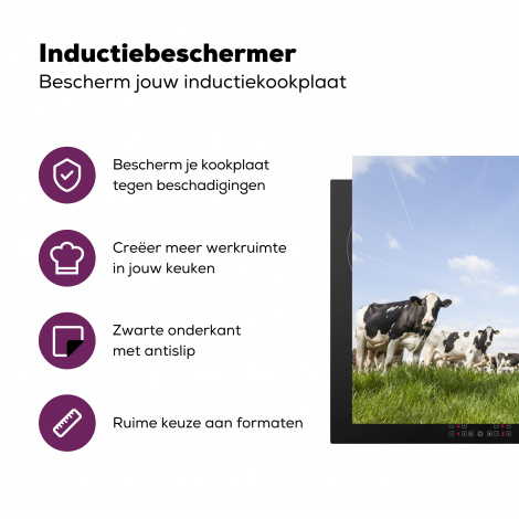 Inductiebeschermer - Koeien - Dieren - Weiland - Hollands-3