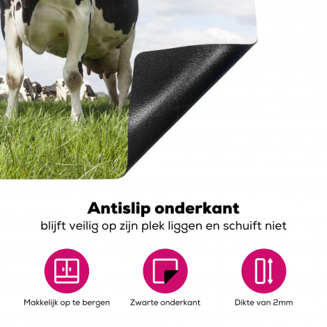 Inductiebeschermer - Koeien - Dieren - Weiland - Hollands-4
