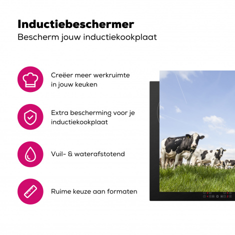 Inductiebeschermer - Koeien - Dieren - Weiland - Hollands-3