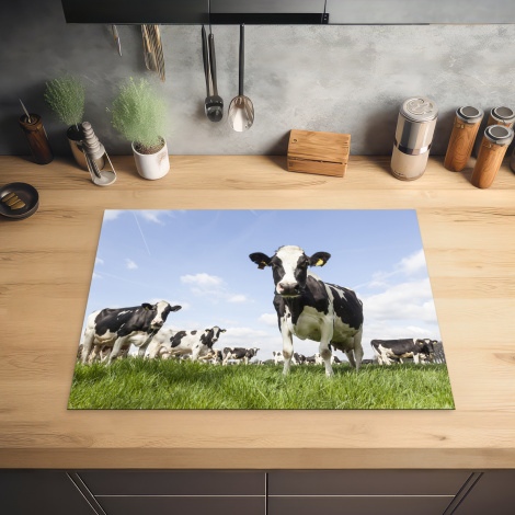 Inductiebeschermer - Koeien - Dieren - Weiland - Hollands-2