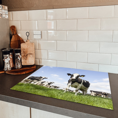 Inductiebeschermer - Koeien - Dieren - Weiland - Hollands-5