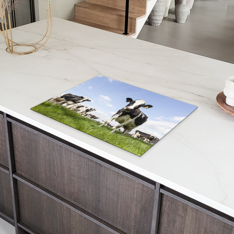 Inductiebeschermer - Koeien - Dieren - Weiland - Hollands-6