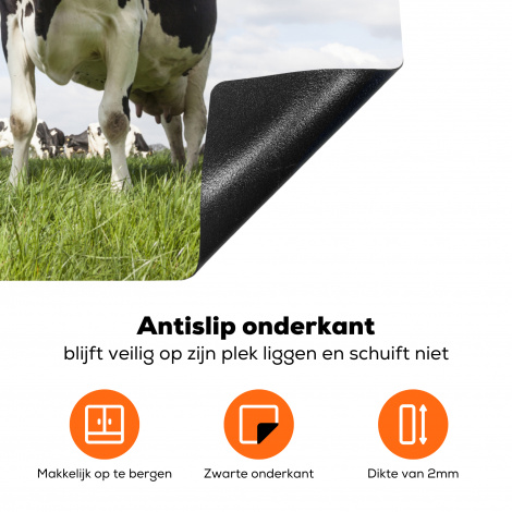 Inductiebeschermer - Koeien - Dieren - Weiland - Hollands-4