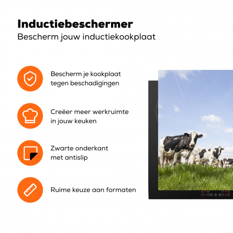 Inductiebeschermer - Koeien - Dieren - Weiland - Hollands-3