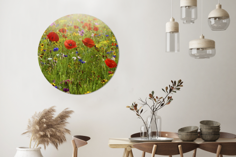 Runde Bilder - Frühling - Blumen - Rot - Mohn - Gras - Grün-3