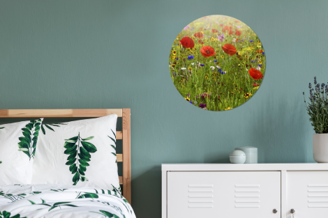 Runde Bilder - Frühling - Blumen - Rot - Mohn - Gras - Grün-4