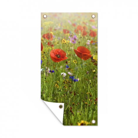 Tuinposter - Lente - Bloemen - Rood - Klaproos - Gras - Groen - Staand-1