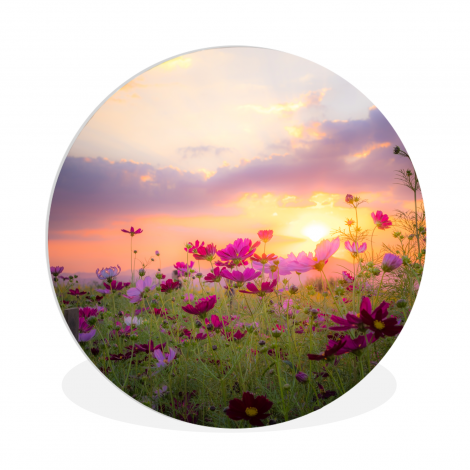 Runde Bilder - Sonnenuntergang - Blumen - Rosa - Natur - Grün