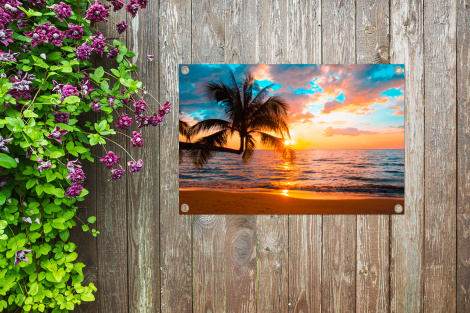 Outdoor Poster - Palme - Sonnenuntergang - Horizont - Strand - Meer - Tropisch - Horizontal-thumbnail-4
