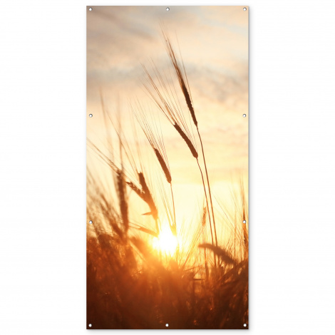 Outdoor Poster - Schilf - Gras - Sonnenuntergang - Natur - Horizont - Vertikal-1