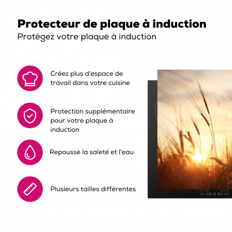Protège-plaque à induction - Roseau - Herbe - Coucher de soleil - Nature - Horizon-3