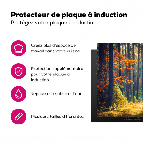 Protège-plaque à induction - Forêt - Soleil - Nature - Automne-3