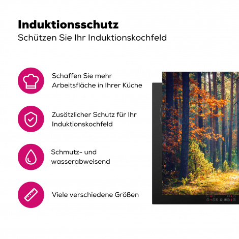 Herdabdeckplatte - Wald - Sonne - Natur - Herbst-3