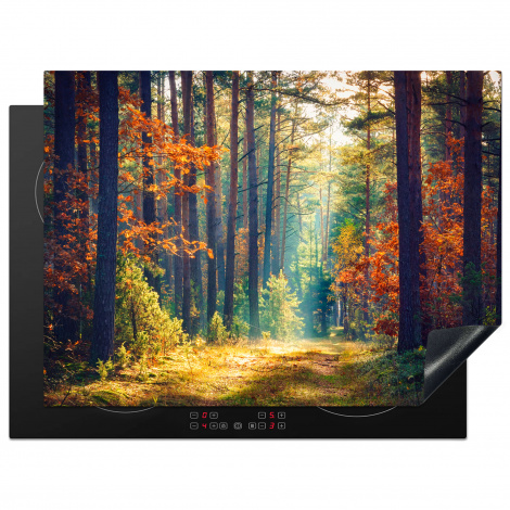 Herdabdeckplatte - Wald - Sonne - Natur - Herbst