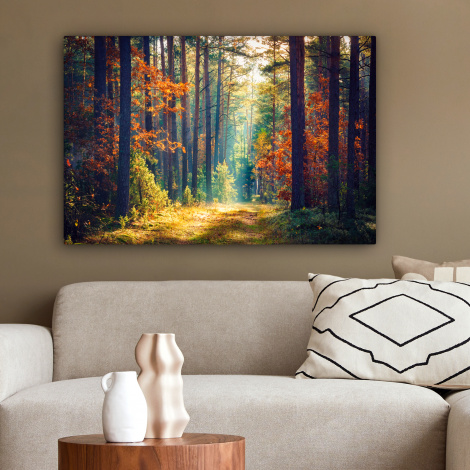 Canvas schilderij - Bos - Zon - Natuur - Herfst-2