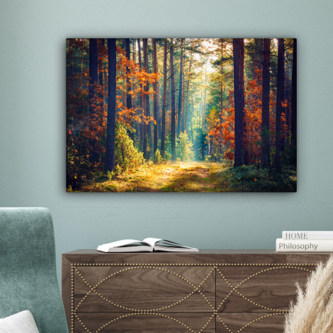 Canvas schilderij - Bos - Zon - Natuur - Herfst-4