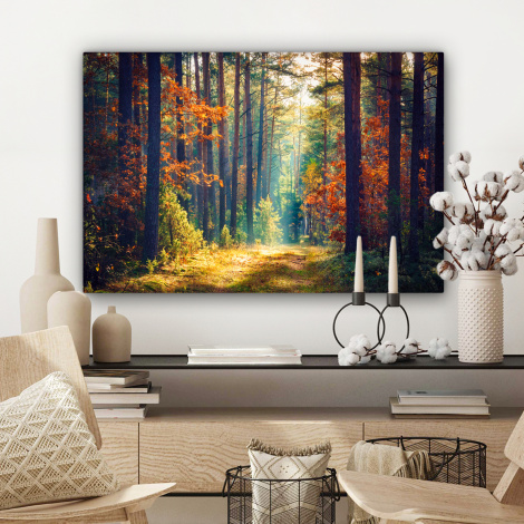 Canvas schilderij - Bos - Zon - Natuur - Herfst-3