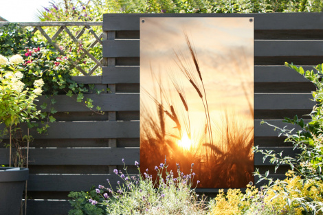 Outdoor Poster - Schilf - Gras - Sonnenuntergang - Natur - Horizont - Vertikal-2