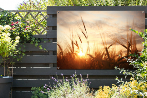 Outdoor Poster - Schilf - Gras - Sonnenuntergang - Natur - Horizont - Horizontal-thumbnail-2