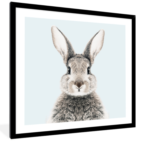 Fotolijst - 40x40 cm - Jeugdige dierenvreugde blauw - Lijst 3