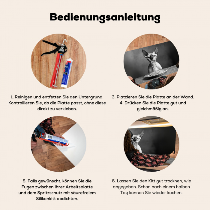 Sphynx - Kat - Dieren - Humor - Spaghetti - Zwart Wit Spatscherm Aluminium klein -zgebruik_DE