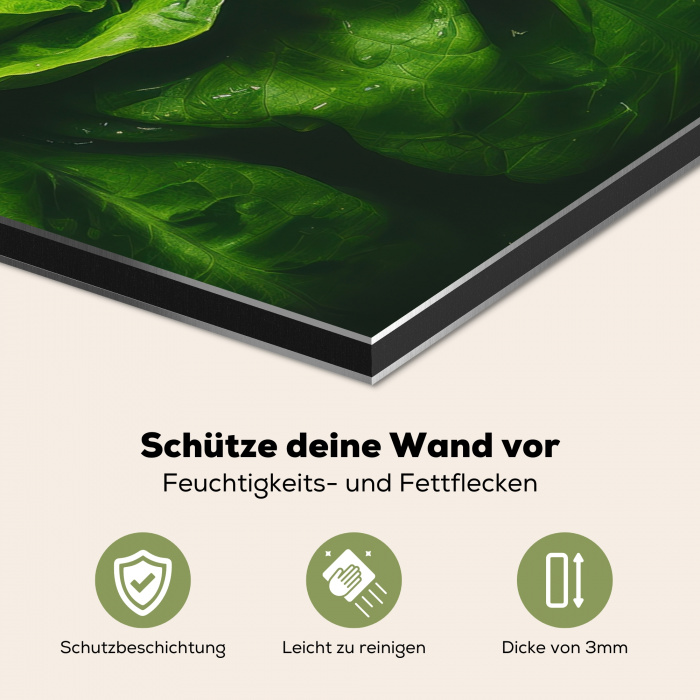 Groente - Sla - Groen Spatscherm Aluminium klein -zcloseup_DE