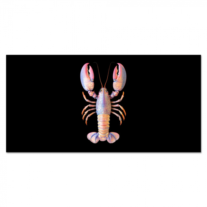 Kreeft - Roze - Zacht - Zwart Spatscherm Aluminium klein -3d_volledig