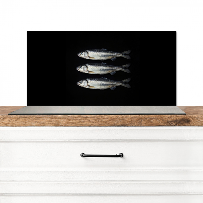 Haring - Vissen - Zwart Spatscherm Aluminium klein -3d_zonderpan