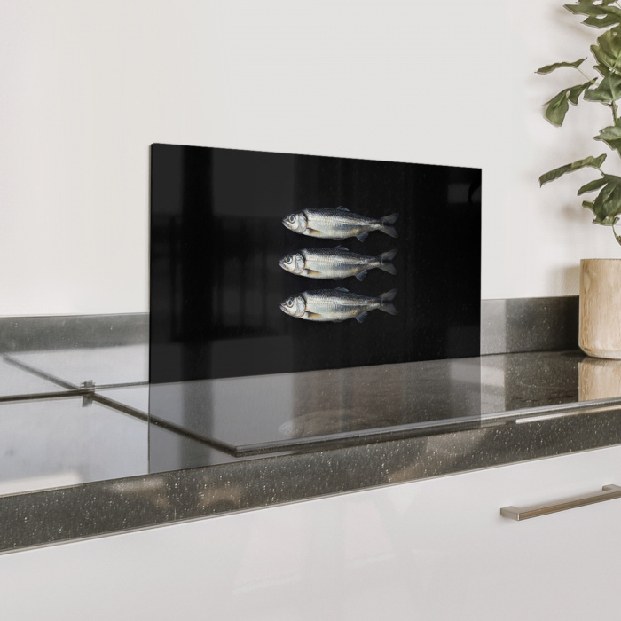 Haring - Vissen - Zwart Spatscherm Aluminium klein -zzproduct_nieuw