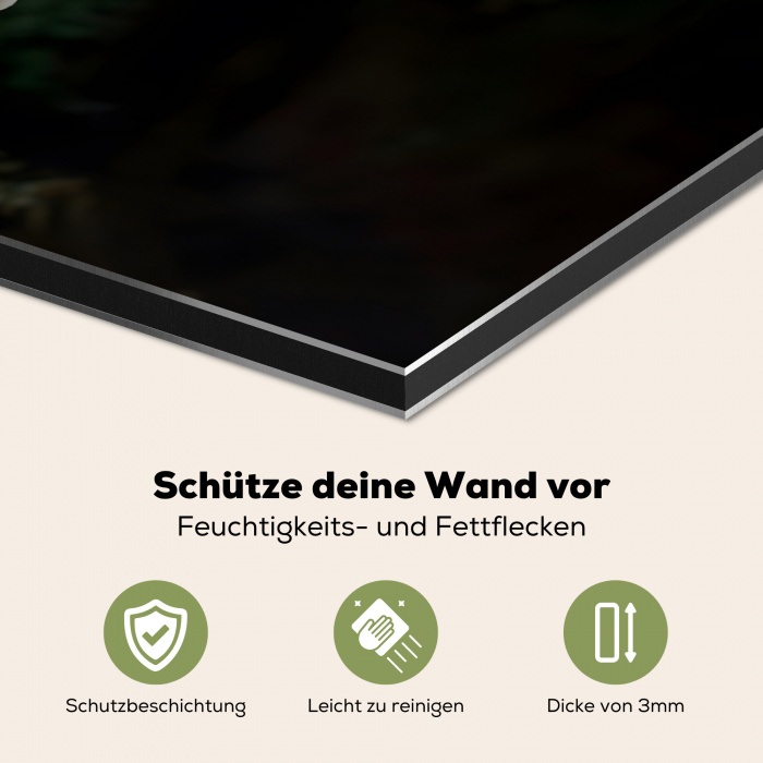 Arend - Hout - Wit - Planten Spatscherm Aluminium klein -zcloseup_DE