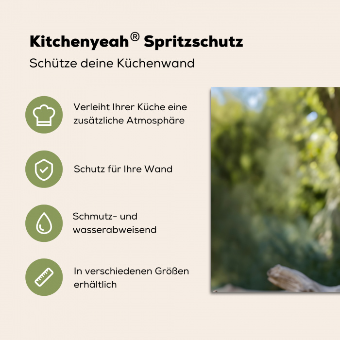 Arend - Hout - Wit - Planten Spatscherm Aluminium klein -zdetails_DE