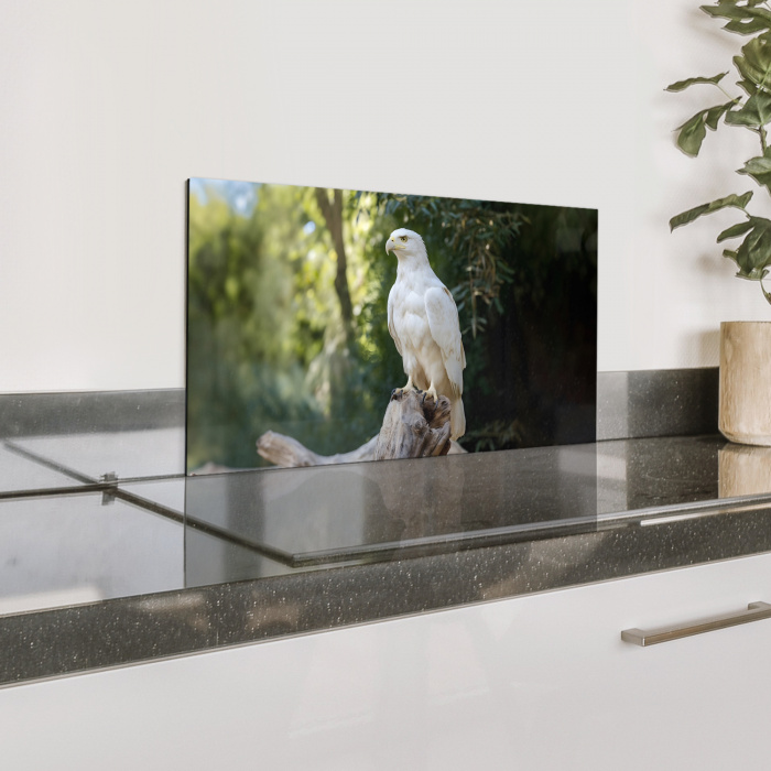 Arend - Hout - Wit - Planten Spatscherm Aluminium klein -zzproduct_nieuw